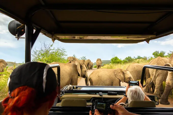 South Africa1