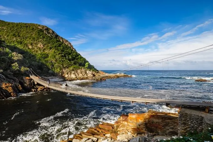 South Africa4