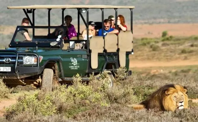 South Africa5
