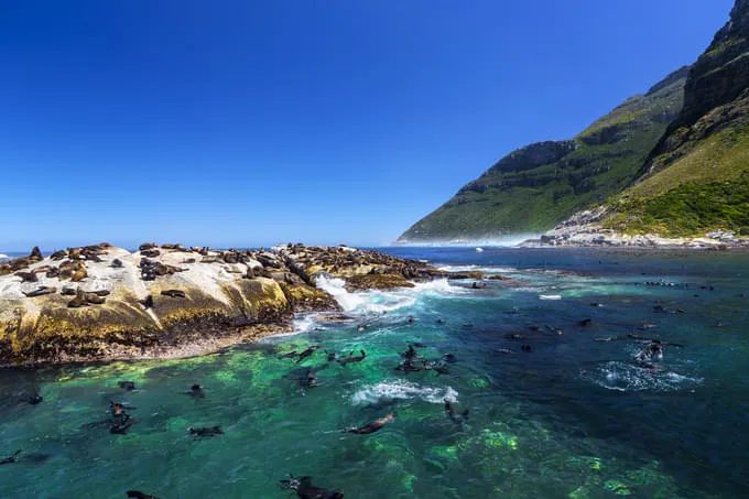 South Africa6