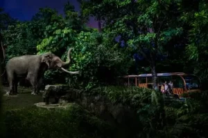 Singapore and Bali Honeymoon1